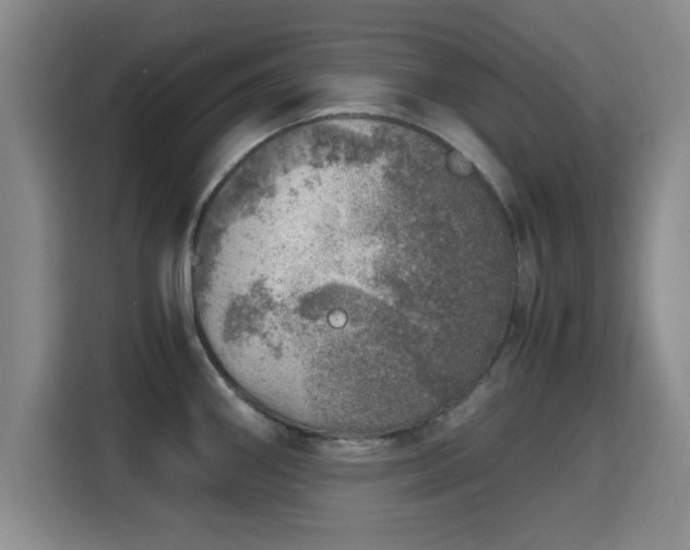 X0000115821290200911201437