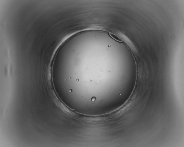 X0000115821292200911201437