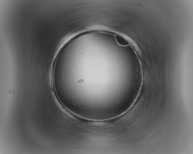 X0000115821295200911201437