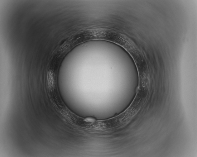 X0000115821298200911201437