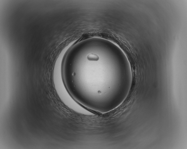 X0000115821301200911201437