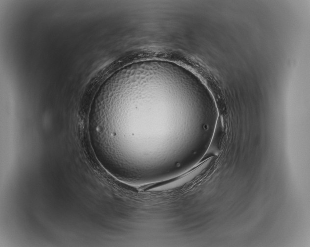 X0000115821302200911201437