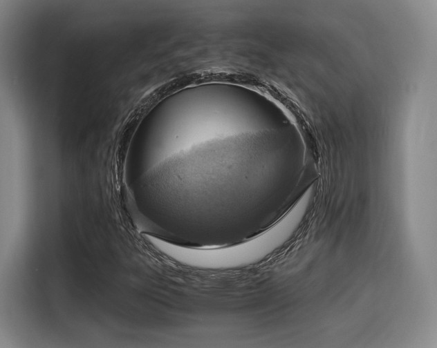 X0000115821303200911201437