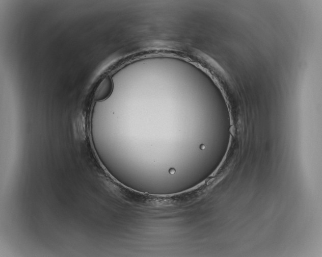 X0000115821310200911201437