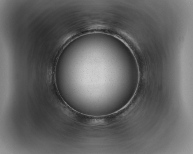 X0000115821313200911201437