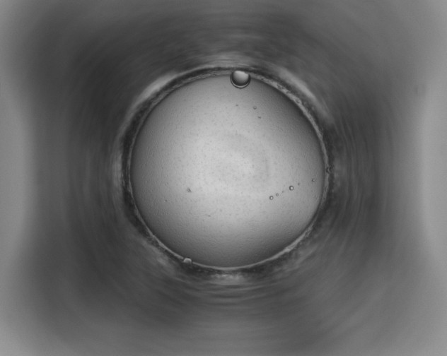 X0000115821315200911201437