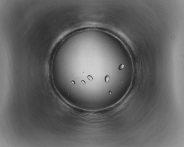 X0000115821318200911201437