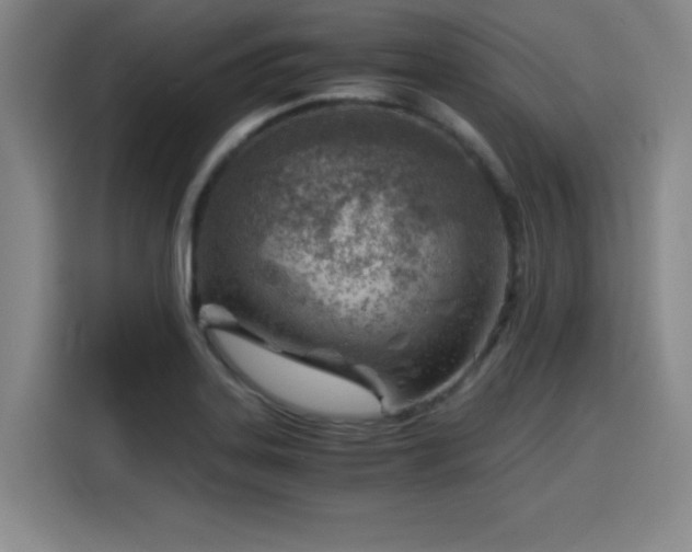 X0000115821323200911201437