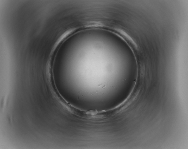 X0000115821325200911201437