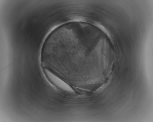 X0000115821331200911201437