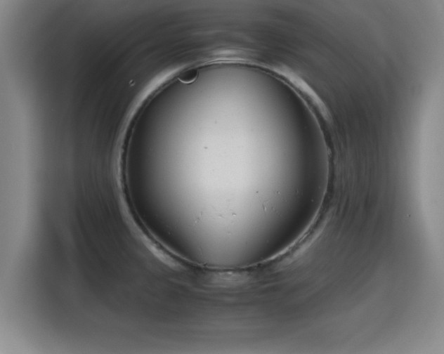 X0000115821333200911201437