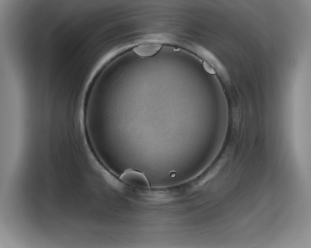 X0000115821334200911201437