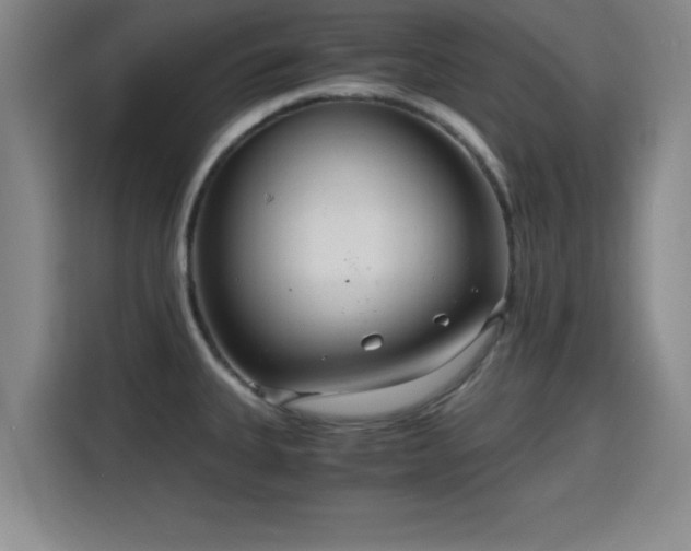 X0000115821335200911201437