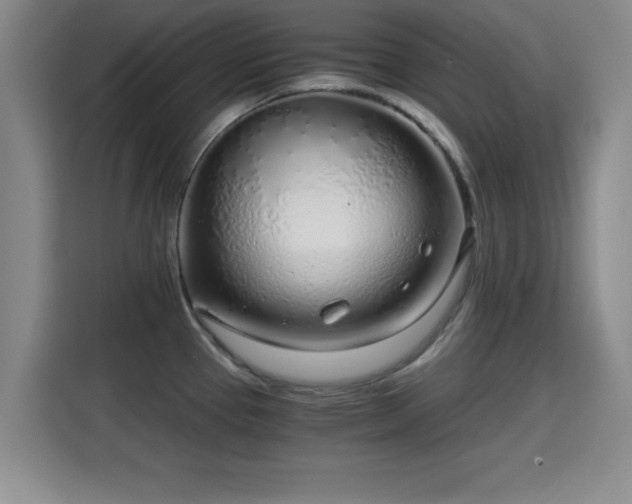 X0000115821337200911201437