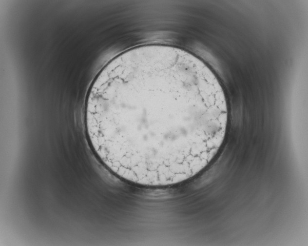 X0000115821338200911201437