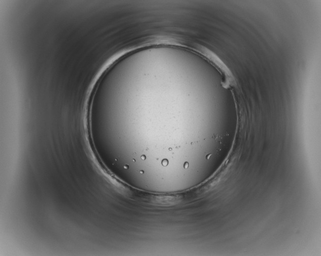 X0000115821339200911201437