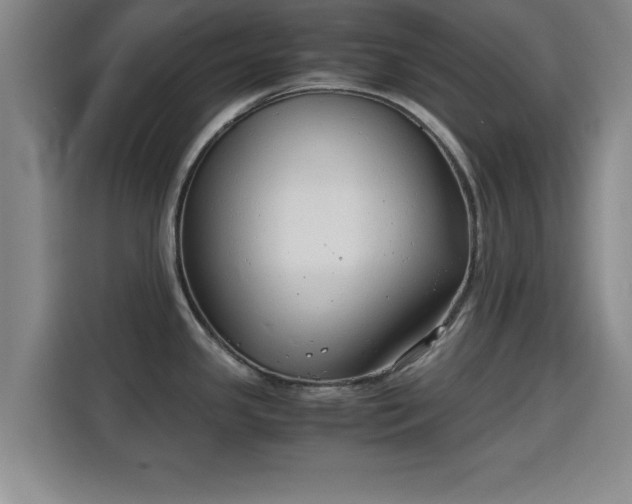 X0000115821341200911201437