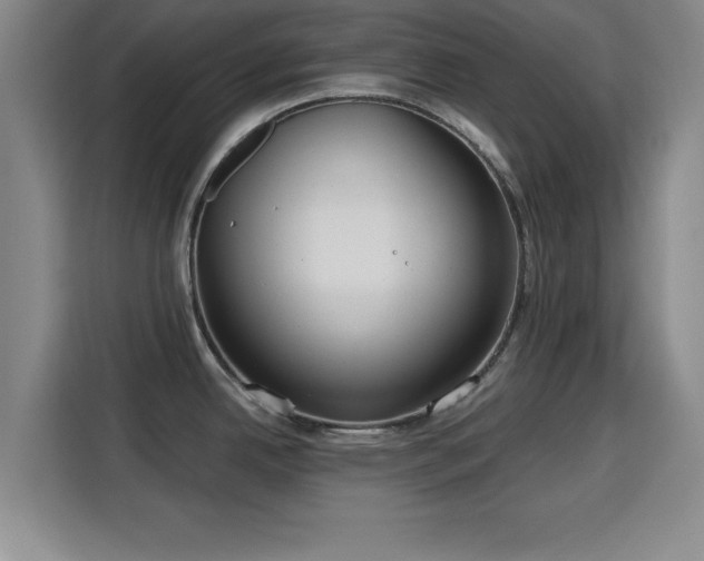 X0000115821342200911201437