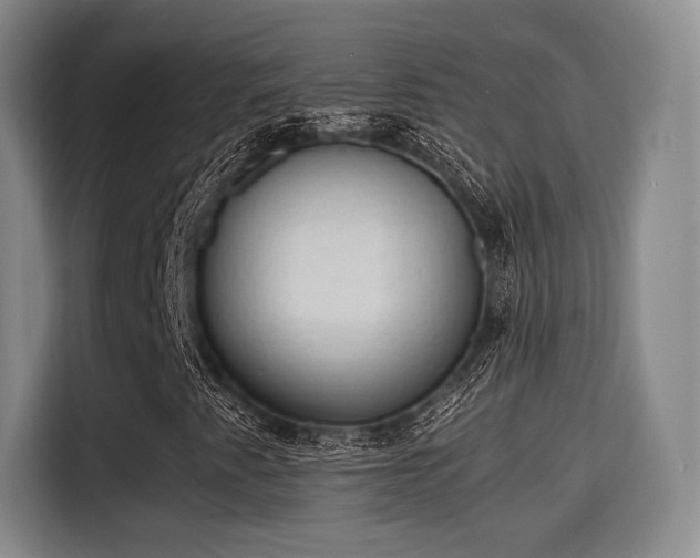 X0000115821345200911201437