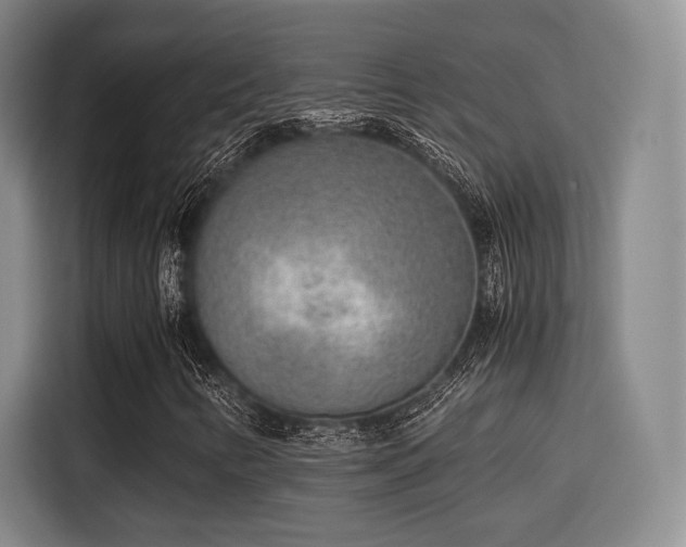 X0000115821346200911201437