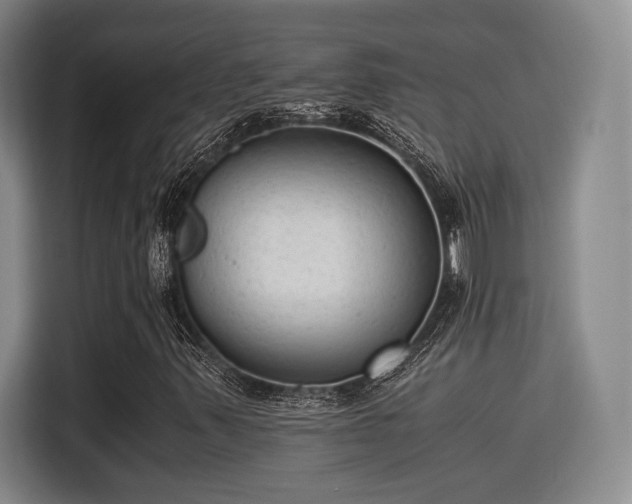 X0000115821347200911201437