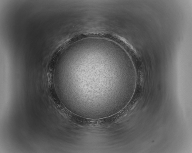 X0000115821350200911201437