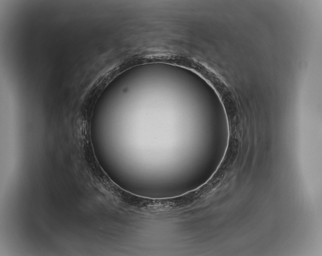 X0000115821351200911201437