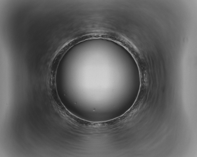 X0000115821352200911201437