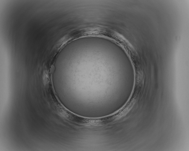 X0000115821353200911201437