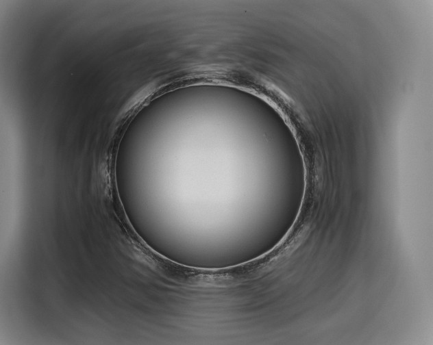 X0000115821354200911201437