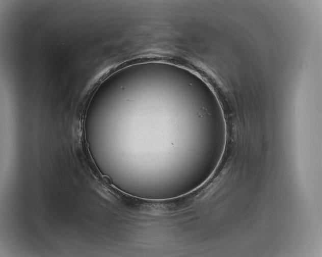 X0000115821355200911201437