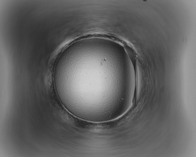 X0000115821359200911201437