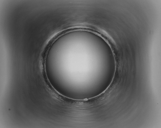 X0000115821360200911201437