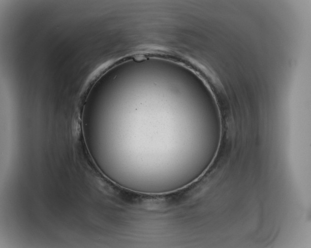 X0000115821363200911201436