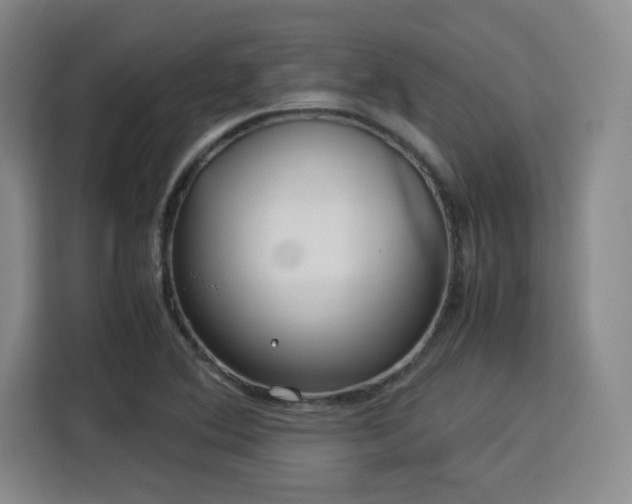 X0000115821364200911201436