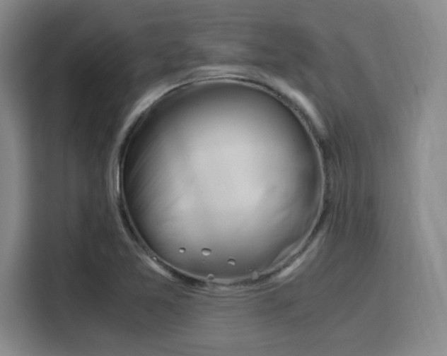 X0000115821365200911201436