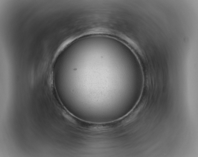 X0000115821366200911201436