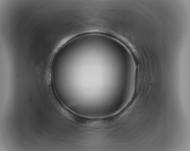 X0000115821367200911201436