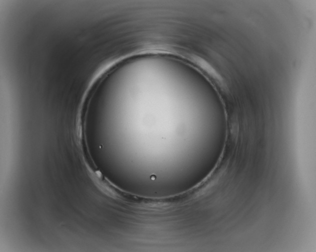 X0000115821372200911201436