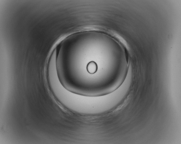 X0000115821373200911201436