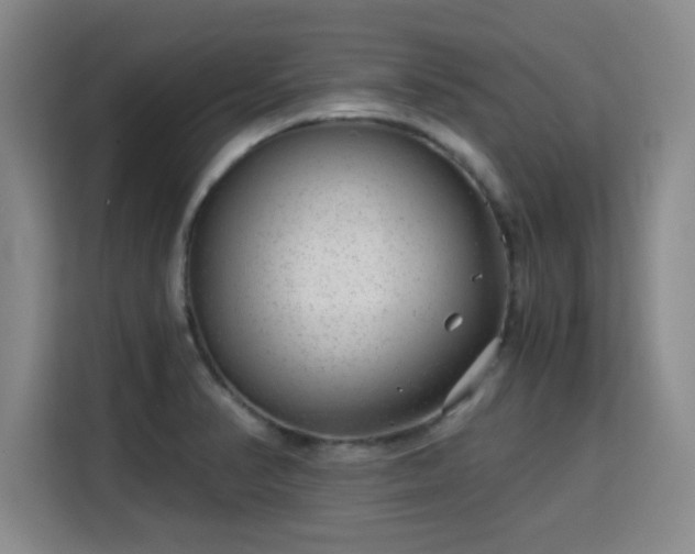 X0000115821374200911201436