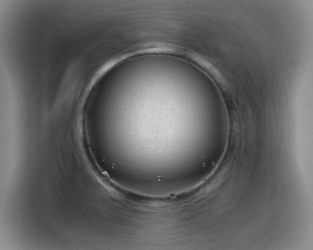 X0000115821375200911201436