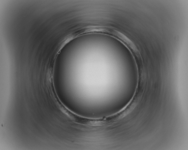 X0000115821377200911201436