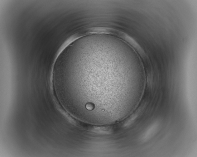 X0000115821378200911201436