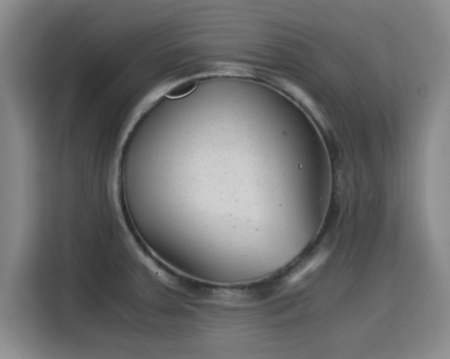 X0000115821379200911201436