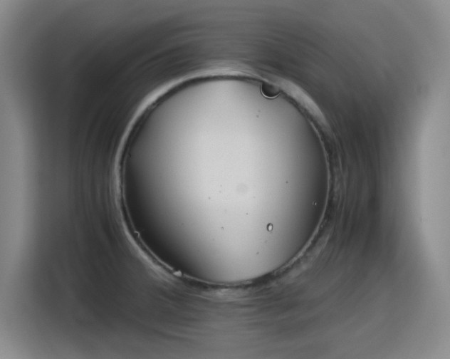 X0000115821380200911201436