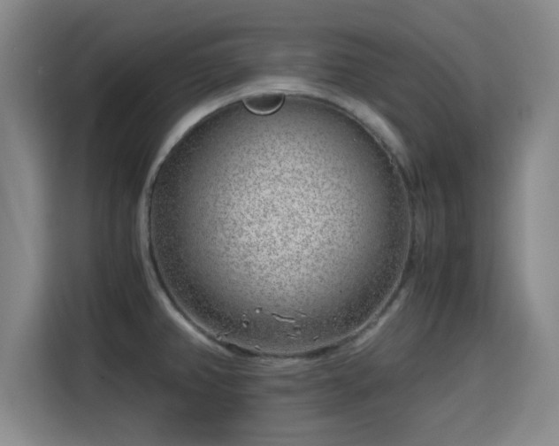 X0000115821382200911201436