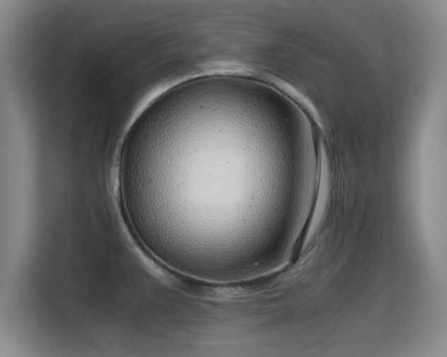 X0000115821383200911201436