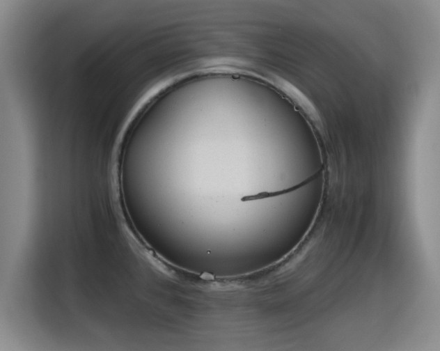 X0000115821384200911201436