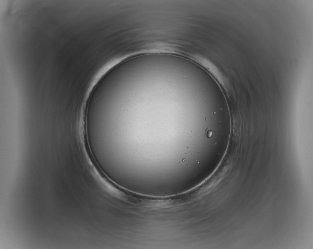 X0000115821387200911201436